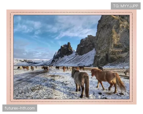 冰岛再创历史奇迹，携全民力量实现国家新突破